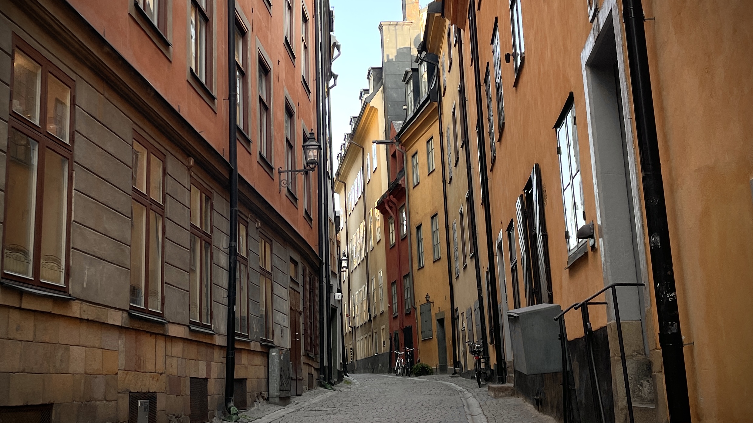 🐯トラせんについて